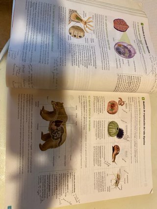 Biología, Geología y Ciencias Ambientales. 1 Ba...