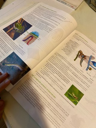 Biología, Geología y Ciencias Ambientales. 1 Ba...