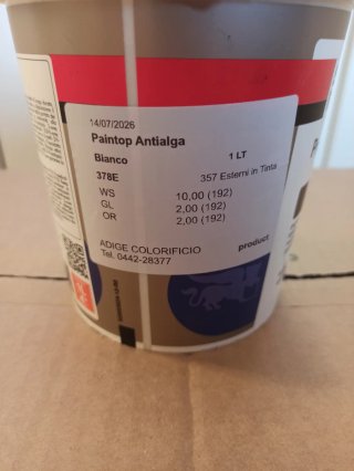 Pittura per Esterni Paintop Antialga Bianco 1L