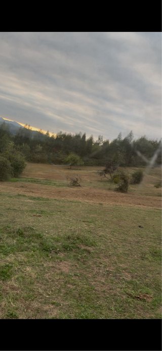 Limpieza de fincas