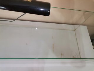 Aquário tartaruga