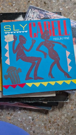 Lotto di 15 Vinili LP e Maxis Vintage