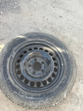 Rueda con neumático Pirelli P6000 195/65 R15