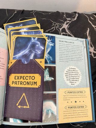 Harry Potter: hechizos y encantamientos