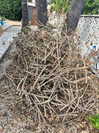 Madera para leña