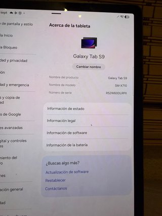 Samsung Galaxy Tab S9 Azul/Multicolor 256gb+12gb