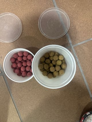 Lote de cebos para carpfishing !!NEGOCIABLE!!