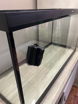Acuario y Accesorios para Pecera