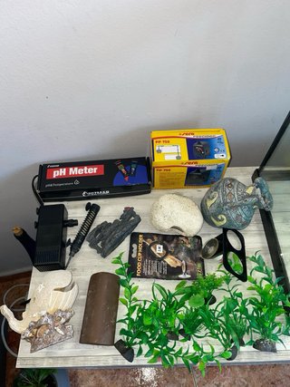 Acuario y Accesorios para Pecera