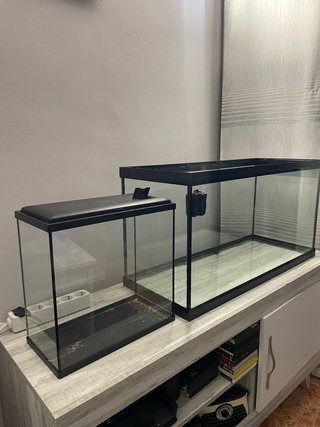 Acuario y Accesorios para Pecera