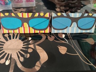 2 Fundas para gafas divertidas