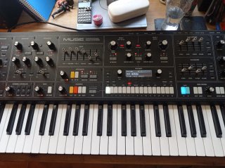 Sintetizador Moog Muse con Bolsa de Transporte