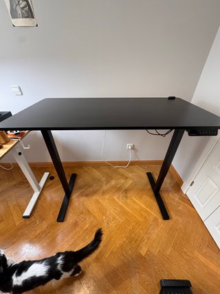 Escritorio Elevable Flexispot 120x60cm