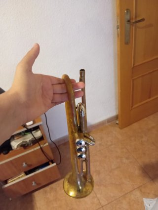 Trompeta con Estuche