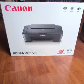 Stampante Canon PIXMA MG2550S