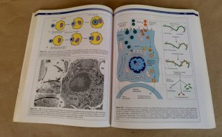 BIOLOGIA CELULAR 3/ED.