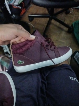 Zapatillas Lacoste Ampthill 3181