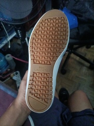 Zapatillas Lacoste Ampthill 3181