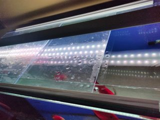 Acuario 530L con mesa y sump