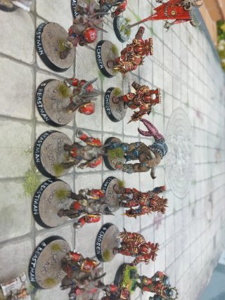 Equipo Blood Bowl Elegidos de Caos Pintado + borak