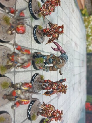 Equipo Blood Bowl Elegidos de Caos Pintado + borak