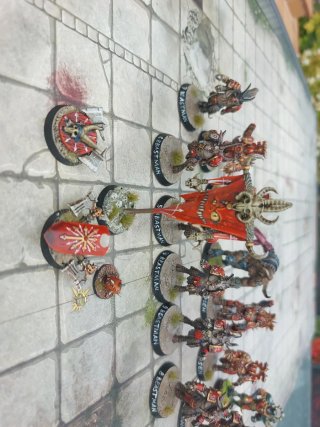 Equipo Blood Bowl Elegidos de Caos Pintado + borak