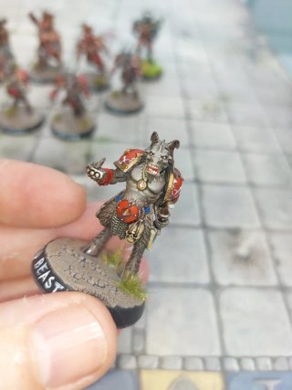 Equipo Blood Bowl Elegidos de Caos Pintado + borak