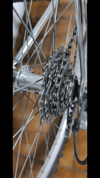 Bicicleta MTB Zeus Clásica Cromovelato
