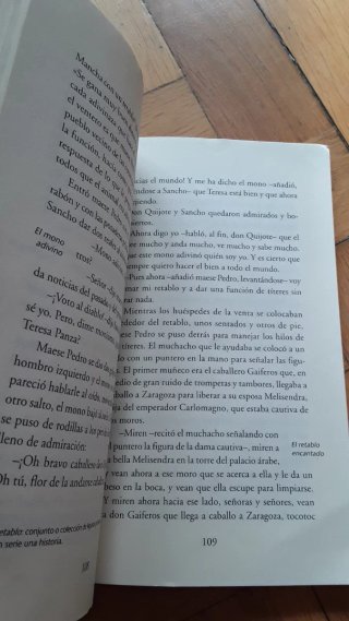 Don Quijote de la Mancha
