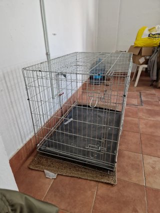 Jaula grande para perro