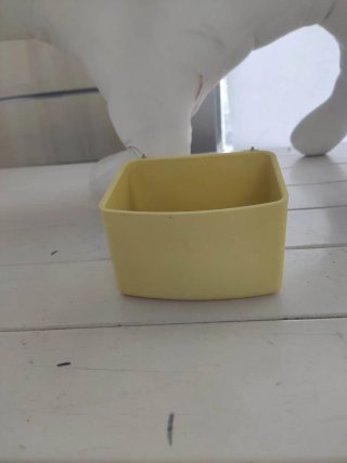 Mangiatoia per uccelli gialla