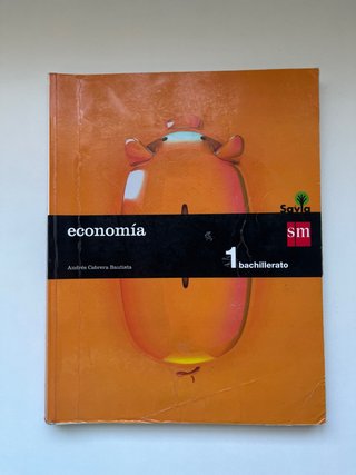 Economía : 1o Bachillerato Savia