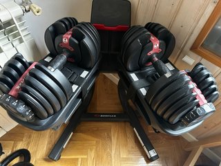 Juego de Mancuernas Bowflex SelectTech 552i