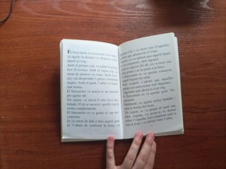 Històries d'arbres i un gira-sol