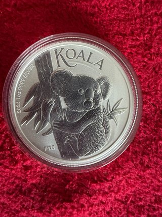 Moneda Plata Koala 2024 1oz .9999
