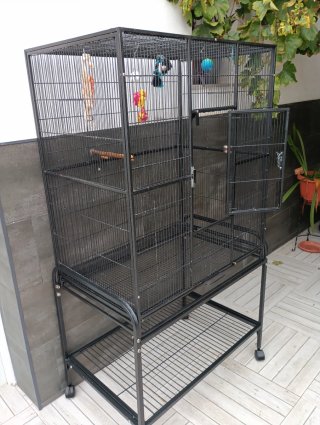 Jaula grande para loro