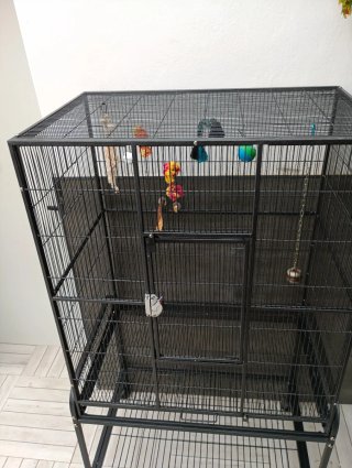 Jaula grande para loro