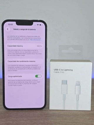 256GB iPhone 13 Pro 100%
