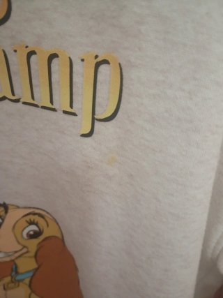 Sudadera Disney Lady and the Tramp