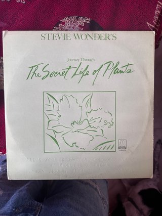 Stevie Wonder - Secret Life of Plants 2LP