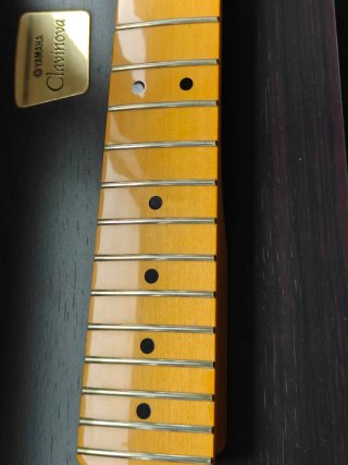 Mástil guitarra eléctrica