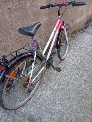 Bici MTB Top Gun
