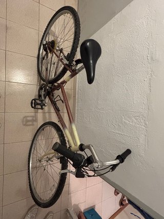 Bicicleta Megamo Country