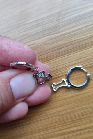 Pendientes de plata con charms