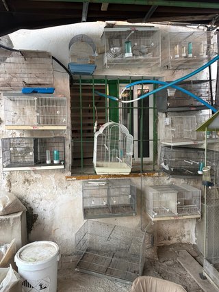 Jaulas para pájaros