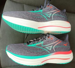 Mizuno Wave Rider 29. Talla: 44