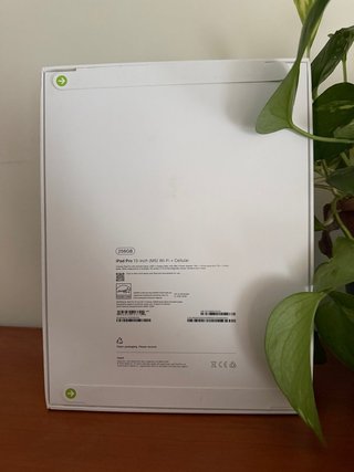 Apple iPad Pro M5 13 *NUEVO*