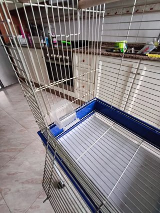 Jaula para pájaros con soporte