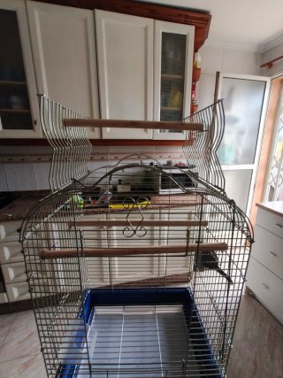 Jaula para pájaros con soporte