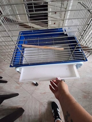 Jaula para pájaros con soporte